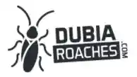 Dubia Roaches Free Shipping