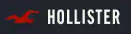 Hollister Free Shipping
